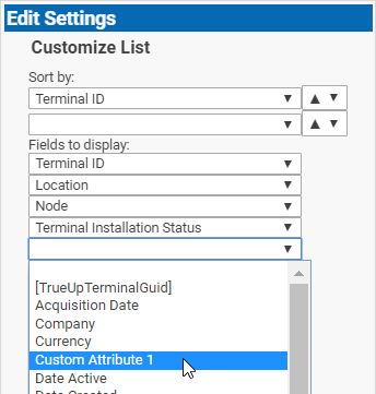 Custom Attribute