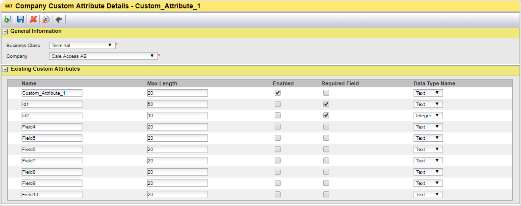 Company Custom Attributes - details